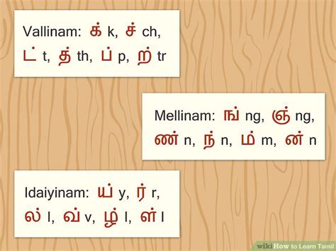 tamil vallinam mellinam idaiyinam|Chapter 1.2 Consonants – Basic Tamil